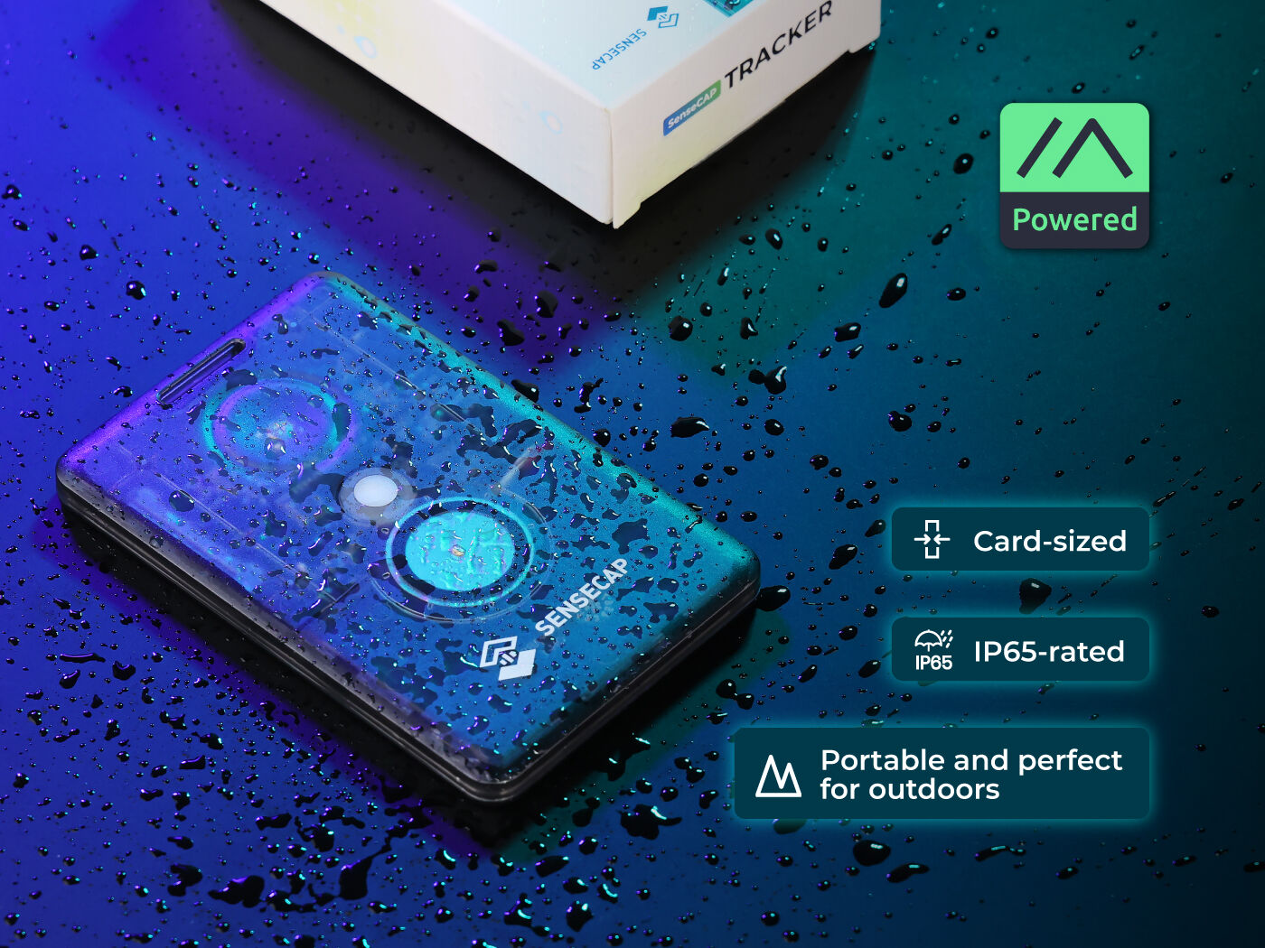 SenseCAP Card Tracker T1000-E for Meshtastic