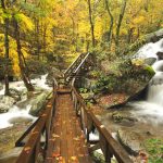 fall-color-NC-mountains