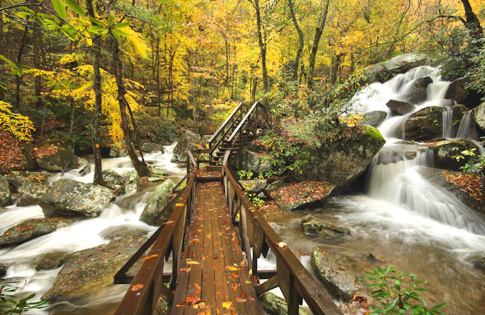 fall-color-NC-mountains