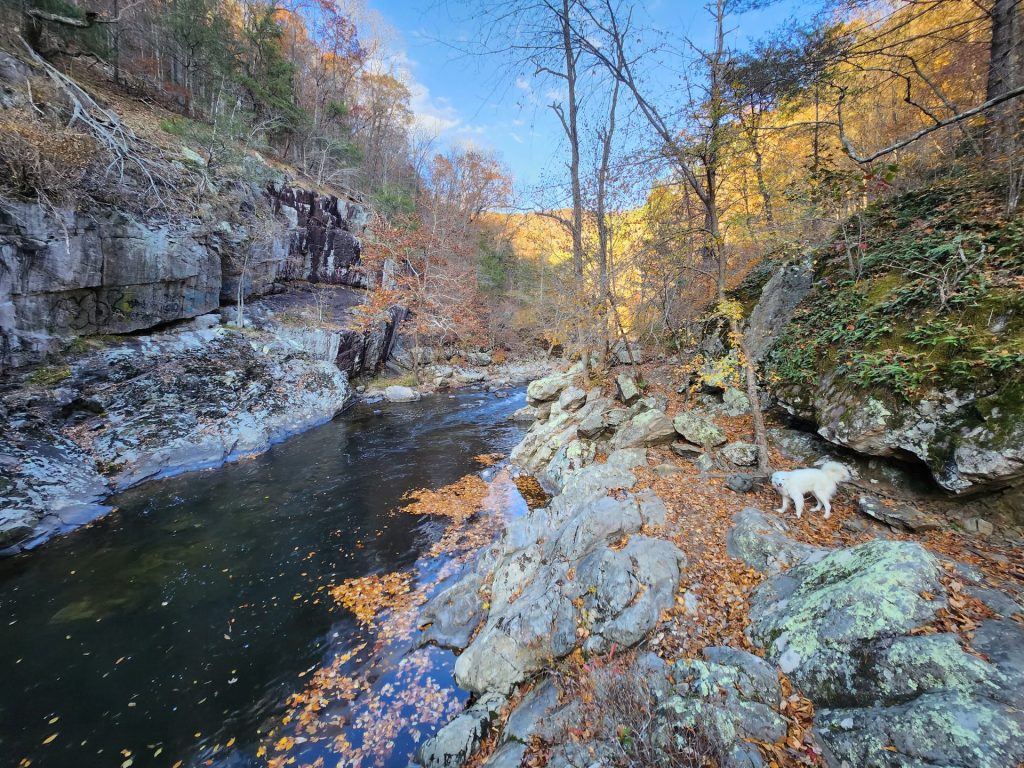 Near Marshall NC