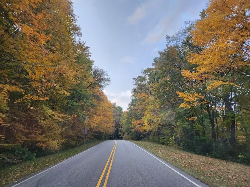 Parkway in Autumn